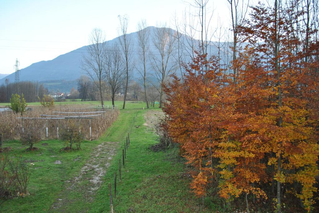 Agriturismo Il Girasole Feltre Bagian luar foto